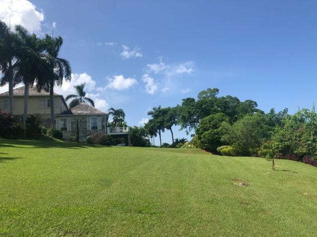 Luxurious Estate Home back lawn view | Credit: KellerWilliams Realty Jamaica