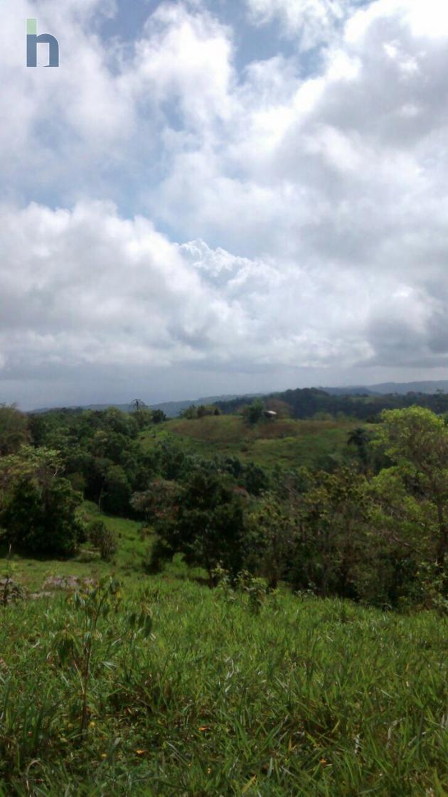 Photo #1 of 3 - Property For Sale at Forrest District, lumsden PA, Forest, St. Ann, Jamaica. Residential Land with 0 bedrooms and 0 bathrooms at JMD $8,500,000,000. #176.