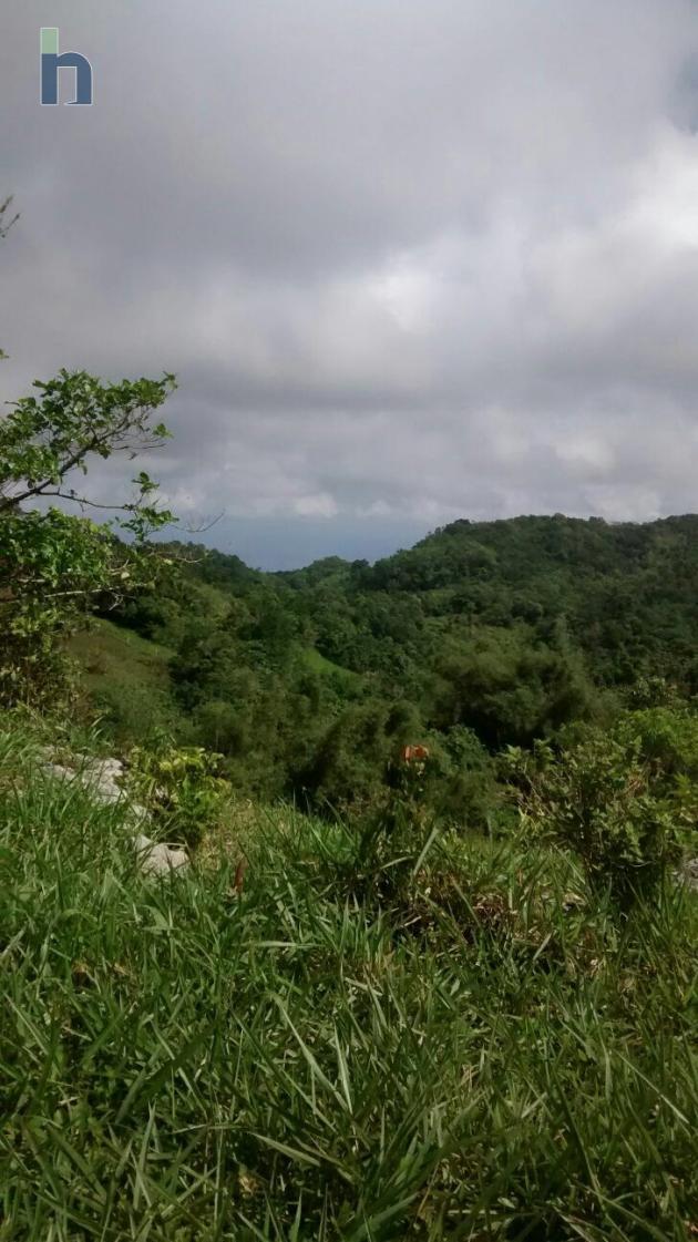 Photo #2 of 3 - Property For Sale at Forrest District, lumsden PA, Forest, St. Ann, Jamaica. Residential Land with 0 bedrooms and 0 bathrooms at JMD $8,500,000,000. #176.
