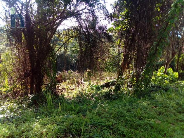 Photo #2 of 4 - Property For Sale at TORADO HEIGHTS, Montego Bay, St. James, Jamaica. Residential Land with 0 bedrooms and 0 bathrooms at USD $160,000. #194.