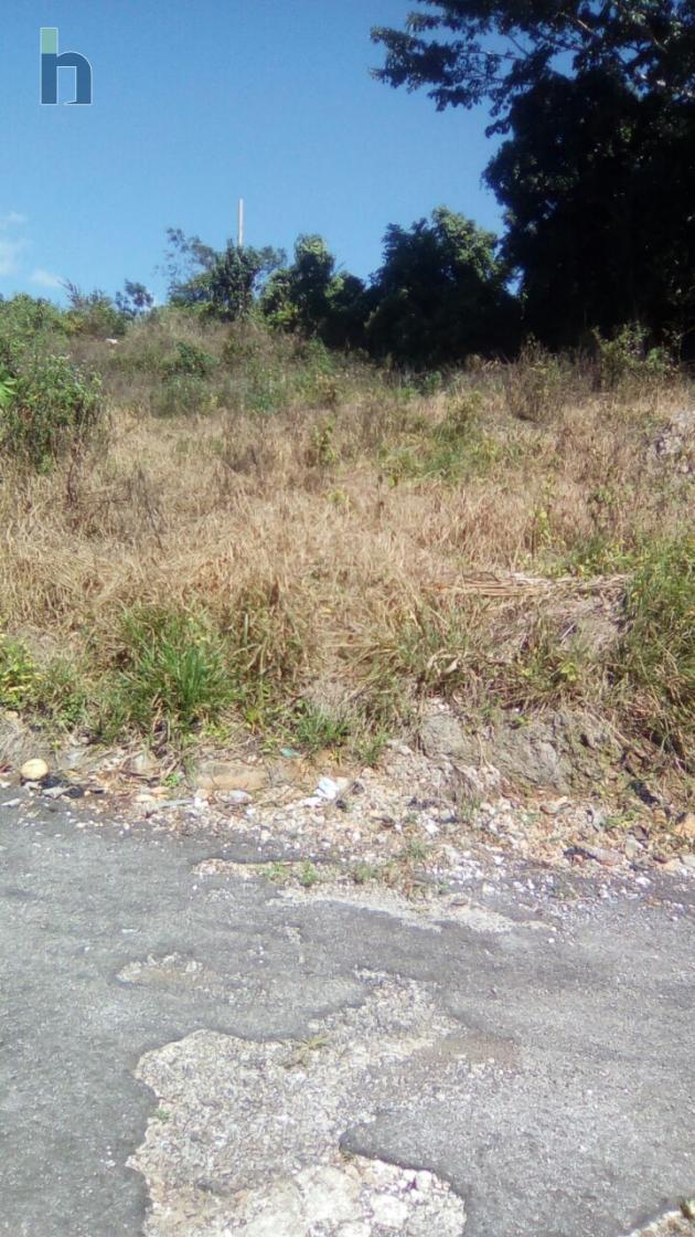 Photo #1 of 3 - Property For Sale at Bonito Crescent , Mandeville, Manchester, Jamaica. Residential Land with 0 bedrooms and 0 bathrooms at JMD $8,000,000. #210.