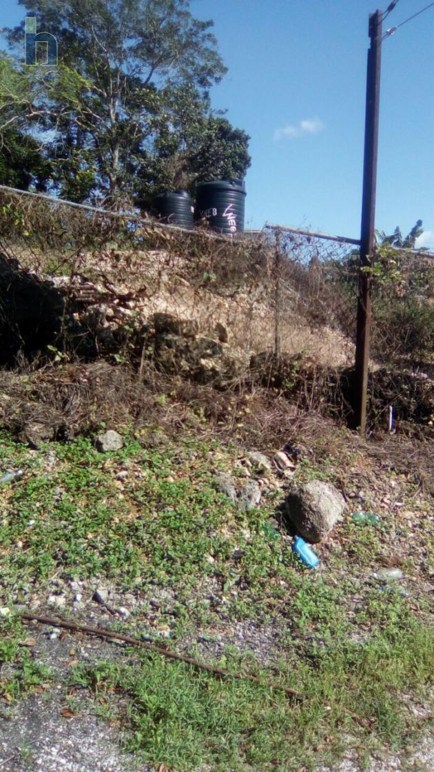 Photo #3 of 3 - Property For Sale at Bonito Crescent , Mandeville, Manchester, Jamaica. Residential Land with 0 bedrooms and 0 bathrooms at JMD $8,000,000. #210.