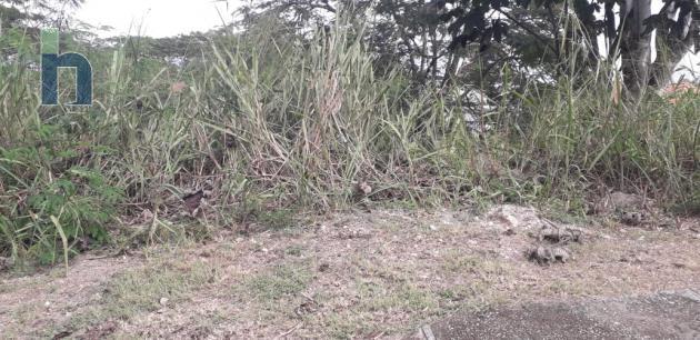 Photo #1 of 1 - Property For Sale at Vista Del Mar, Ocho Rios, St. Ann, Jamaica. Residential Land with 0 bedrooms and 0 bathrooms at JMD $8,000,000. #354.