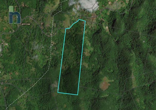 Photo #1 of 1 - Property For Sale at CHATHAM MOUNTAIN, Chatham, St. James, Jamaica. Farm Land with 0 bedrooms and 0 bathrooms at JMD $146,000,000. #360.