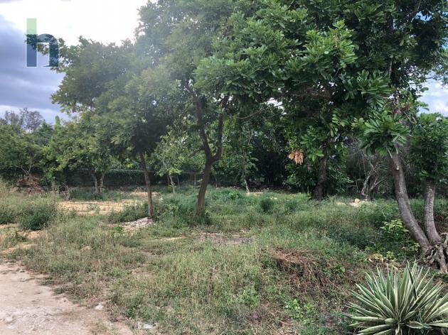 Photo #2 of 5 - Property For Sale at Providence , West End, Westmoreland, Jamaica. Residential Land with 0 bedrooms and 0 bathrooms at USD $88,000. #378.