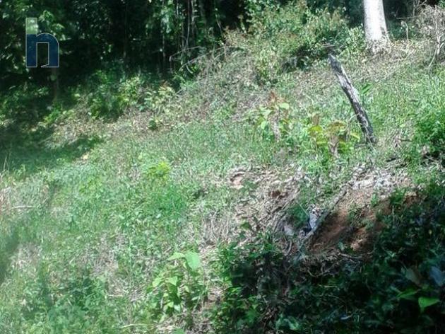 Photo #1 of 1 - Property For Sale at Pine View Close, Stony Hill, Stony Hill, Kingston & St. Andrew, Jamaica. Residential Land with 0 bedrooms and 0 bathrooms at JMD $7,000,000. #396.