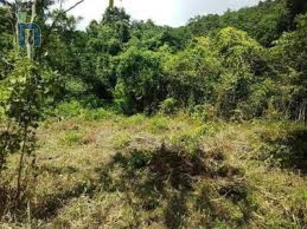 Photo #1 of 1 - Property For Sale at Bellfield Old Harbour St.Catherine, Belfield, St. Catherine, Jamaica. Farm Land with 0 bedrooms and 0 bathrooms at USD $2,000. #410.
