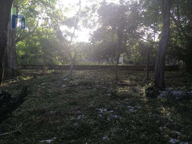Photo #1 of 6 - Property For Sale at Providence Mountain, Lot 2A, West End, Westmoreland, Jamaica. Residential Land with 0 bedrooms and 0 bathrooms at USD $77,000. #443.
