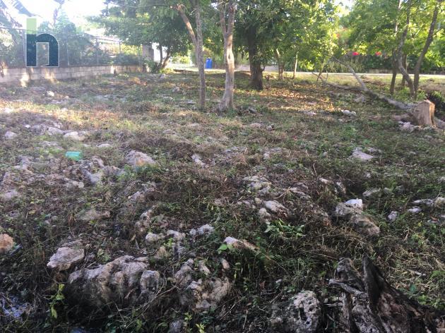 Photo #2 of 6 - Property For Sale at Providence Mountain, Lot 2A, West End, Westmoreland, Jamaica. Residential Land with 0 bedrooms and 0 bathrooms at USD $77,000. #443.