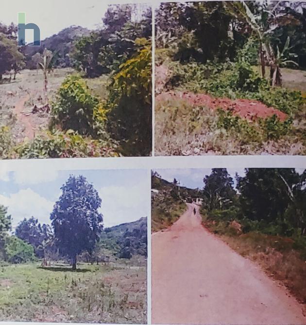 Photo #1 of 1 - Property For Sale at Bog walk , Spring Vale, St. Catherine, Jamaica. Residential Land with 0 bedrooms and 0 bathrooms at JMD $4,600,000. #523.