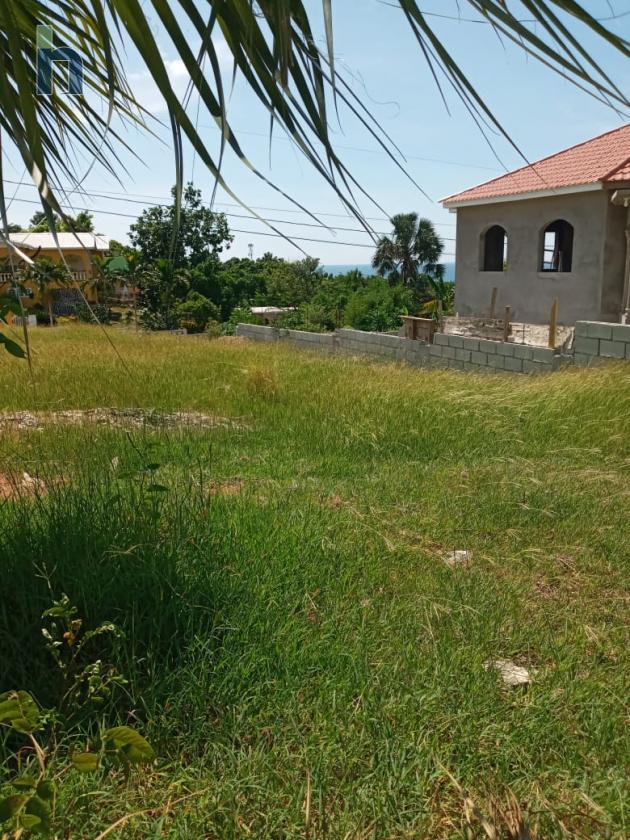 Jamaican Property Residential Land For Sale in Whitehouse, Westmoreland