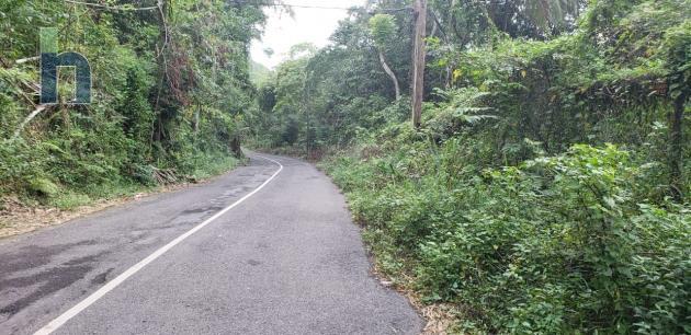 Photo #2 of 11 - Property For Sale at Lot 143 Copse District , Hanover, Copse, Hanover, Jamaica. Residential Land with 1 bedrooms and 1 bathrooms at USD $86,000. #583.