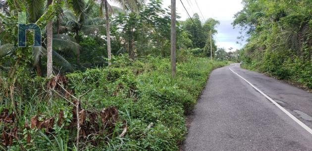 Photo #11 of 11 - Property For Sale at Lot 143 Copse District , Hanover, Copse, Hanover, Jamaica. Residential Land with 1 bedrooms and 1 bathrooms at USD $86,000. #583.