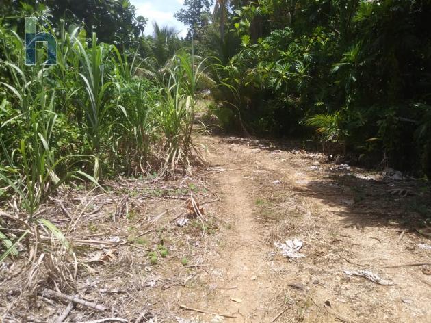 Photo #1 of 17 - Property For Sale at Spring Gardens, Buff bay, Buff Bay, Portland, Jamaica. Residential Land with 0 bedrooms and 0 bathrooms at USD $198,000. #612.