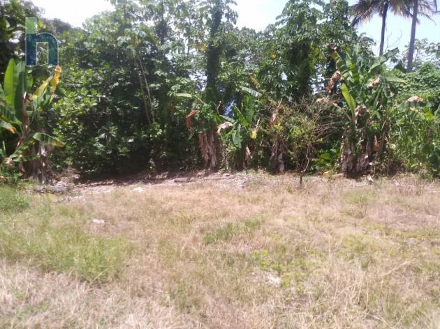 Jamaican Property Residential Land For Sale in Buff Bay, Portland ...