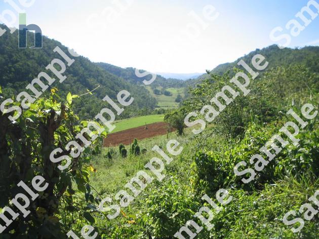 Photo #2 of 3 - Property For Rent at Mount Airy Road, INCLUDED FOR ILLUSTRATIVE PURPOSES ONLY, Mount Airy, Kingston & St. Andrew, Jamaica. Farm Land with 0 bedrooms and 0 bathrooms at JMD $600,000. #67.