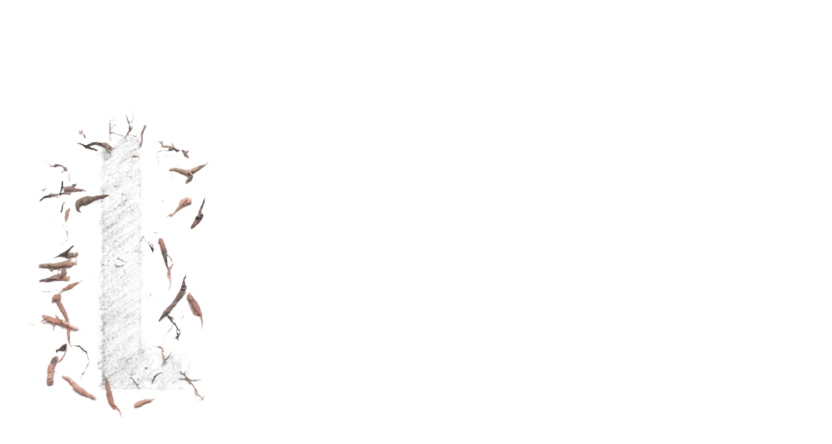 BUILD, MEASURE, EARN in bold, with eraser debris and an erased L that would have spelled BUILD, MEASURE, LEARN.